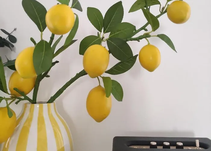 Lorry Living Marula Cavalcaselle